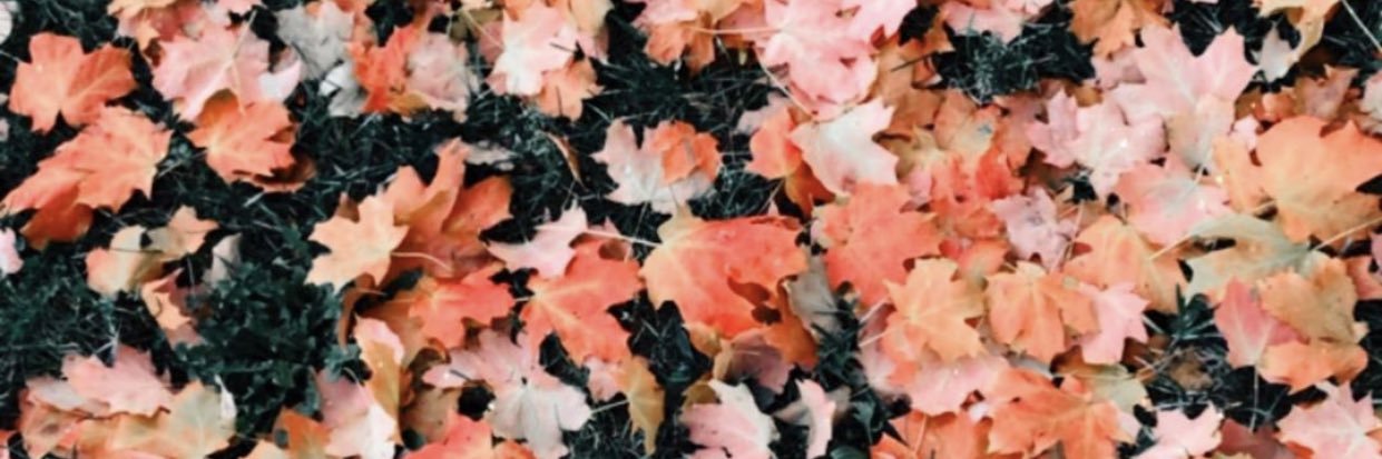 365daysofJasz's profile banner image