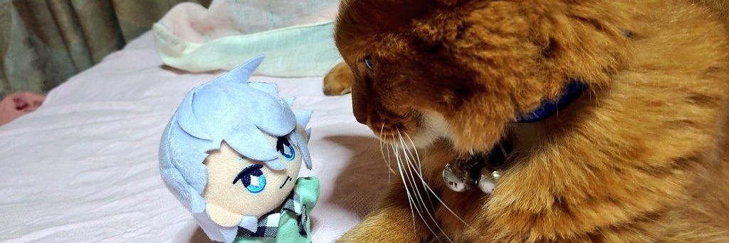 なご❛固ツイ参照お願いします❜ banner