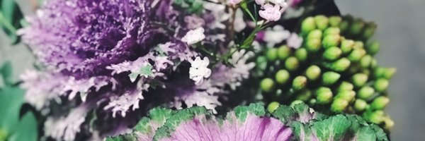 alainemack Profile Banner