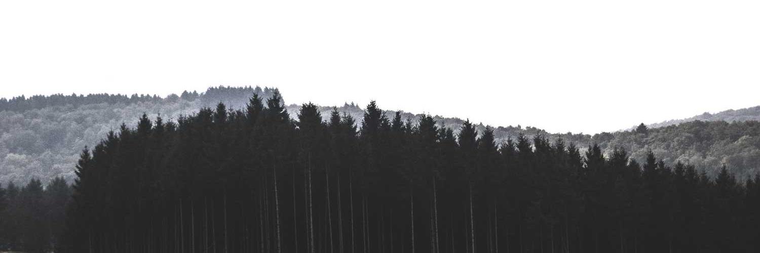 jsnsisiss's profile banner image
