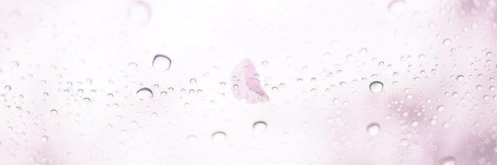 lastsong1122's profile banner image