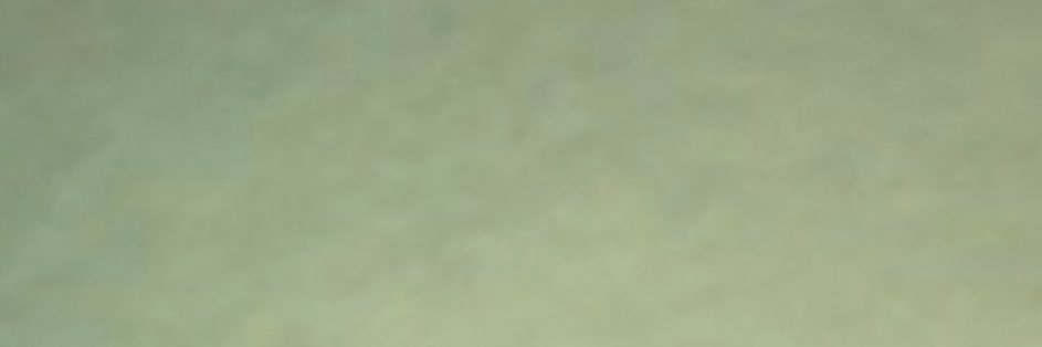 Emily_Wo's profile banner image