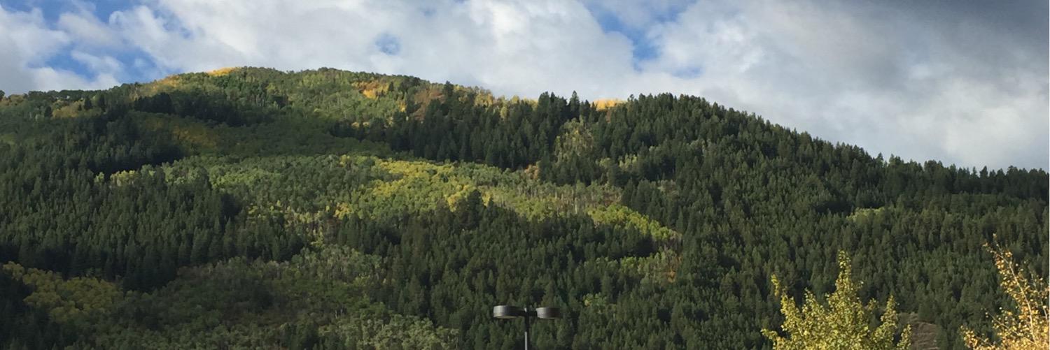 Nitsr14's profile banner image