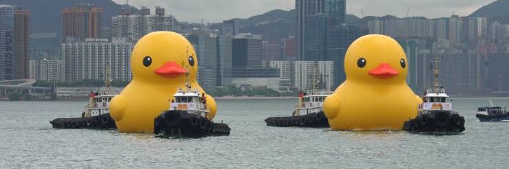 duck but change d to f banner