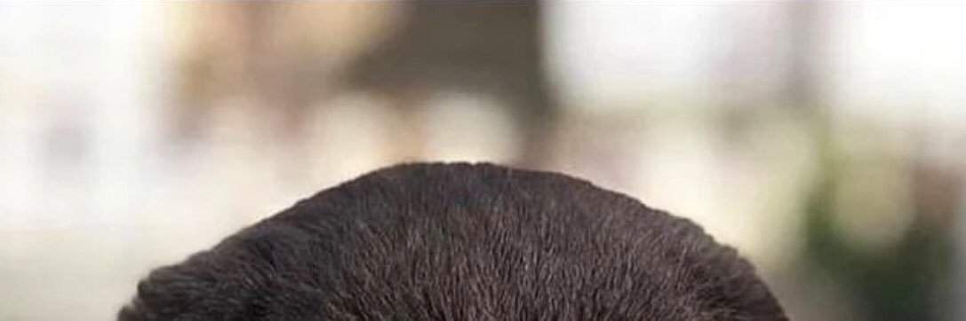 Sandeul_Lee03's profile banner image