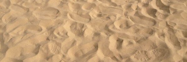 TAS6284 Profile Banner