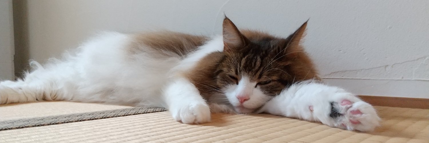 ninoconin's profile banner image