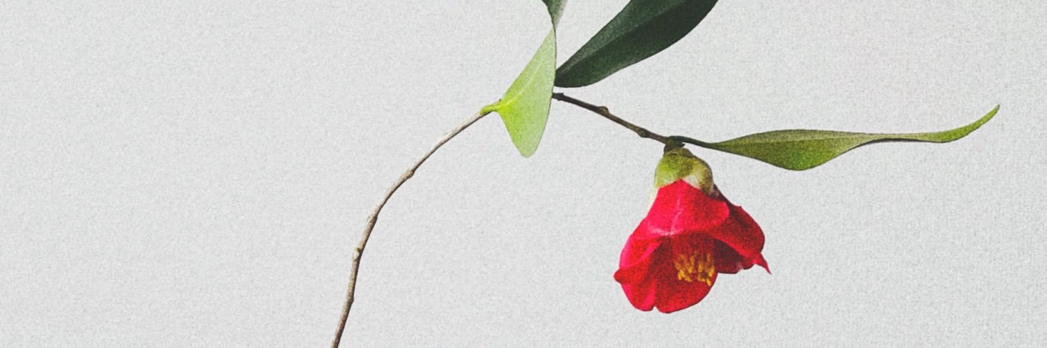 underthe2ree's profile banner image
