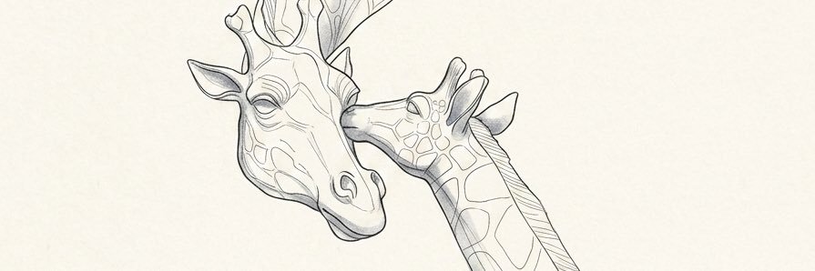 Rohan banner