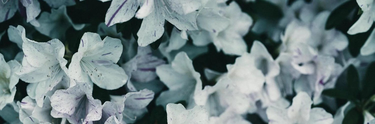 鮎 banner