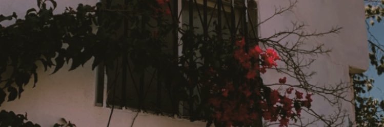 n_mi96's profile banner image