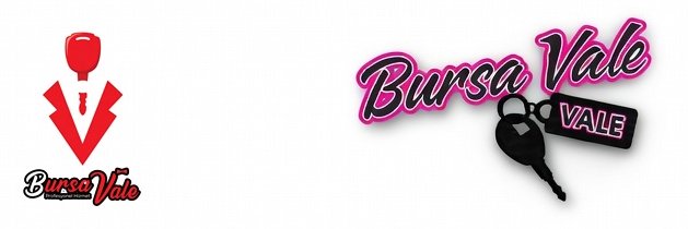 BursaVale's profile banner image