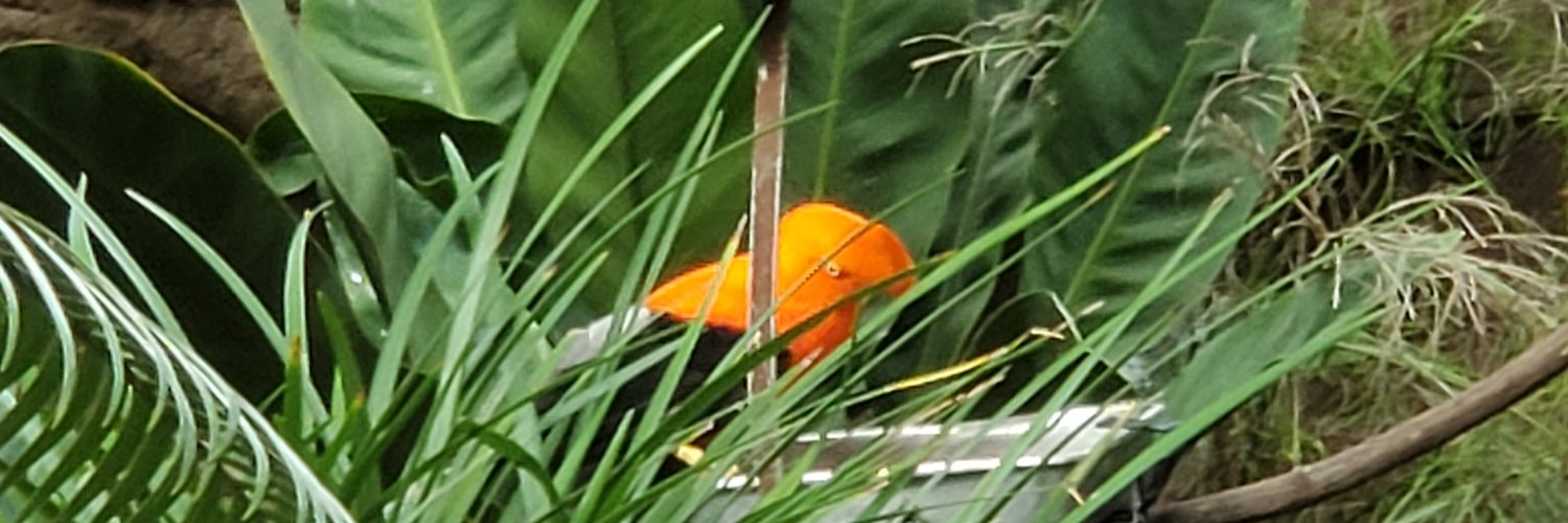 h_robbins's profile banner image