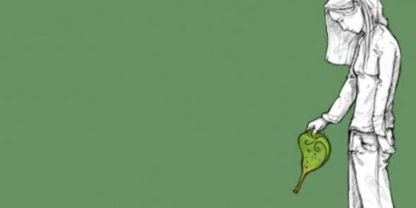 perimasali56's profile banner image