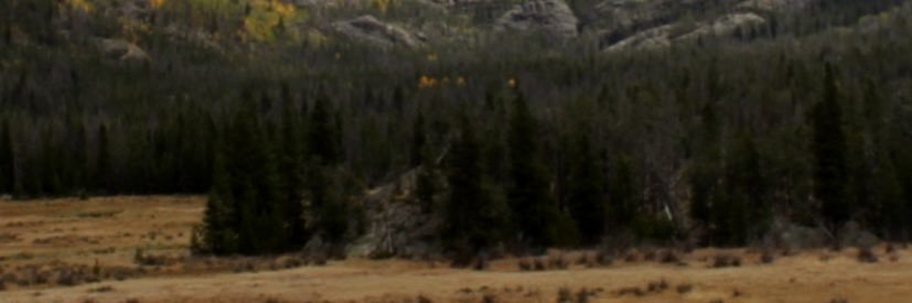 jrapps33's profile banner image