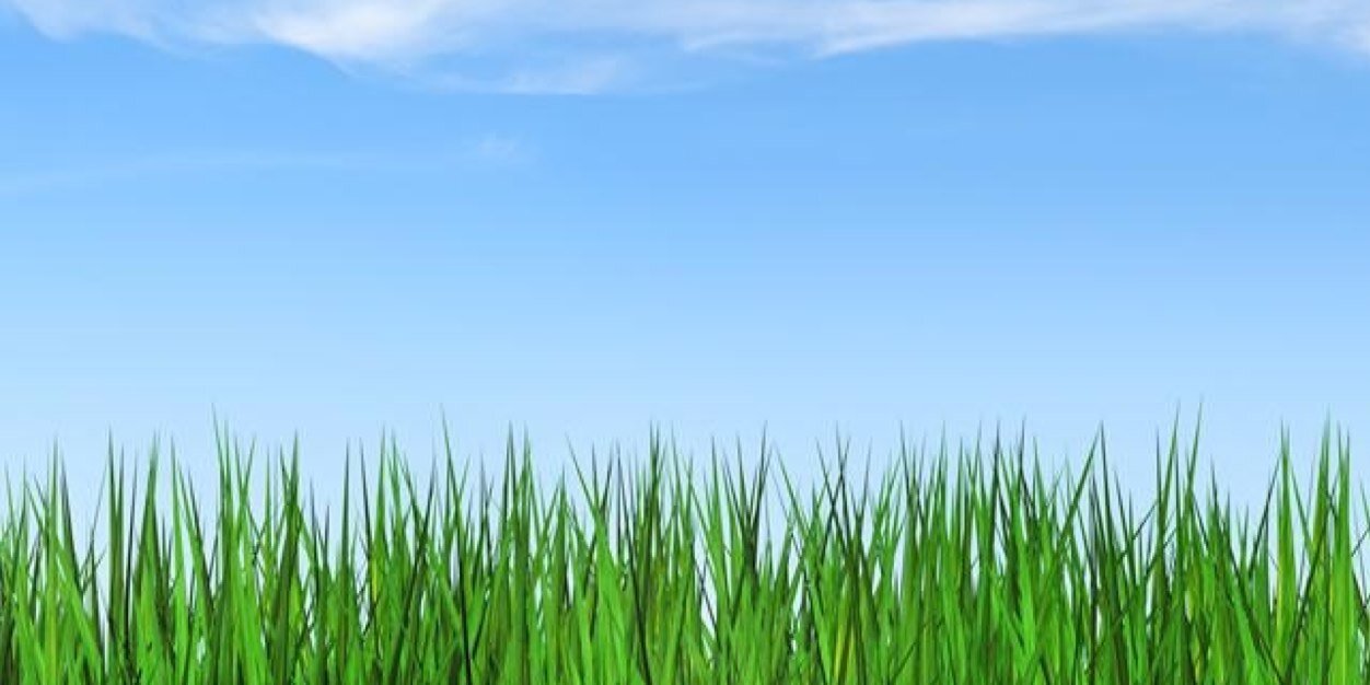 minty4303's profile banner image
