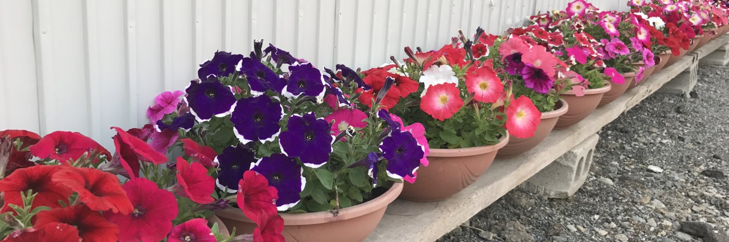 mocomoconyanco's profile banner image