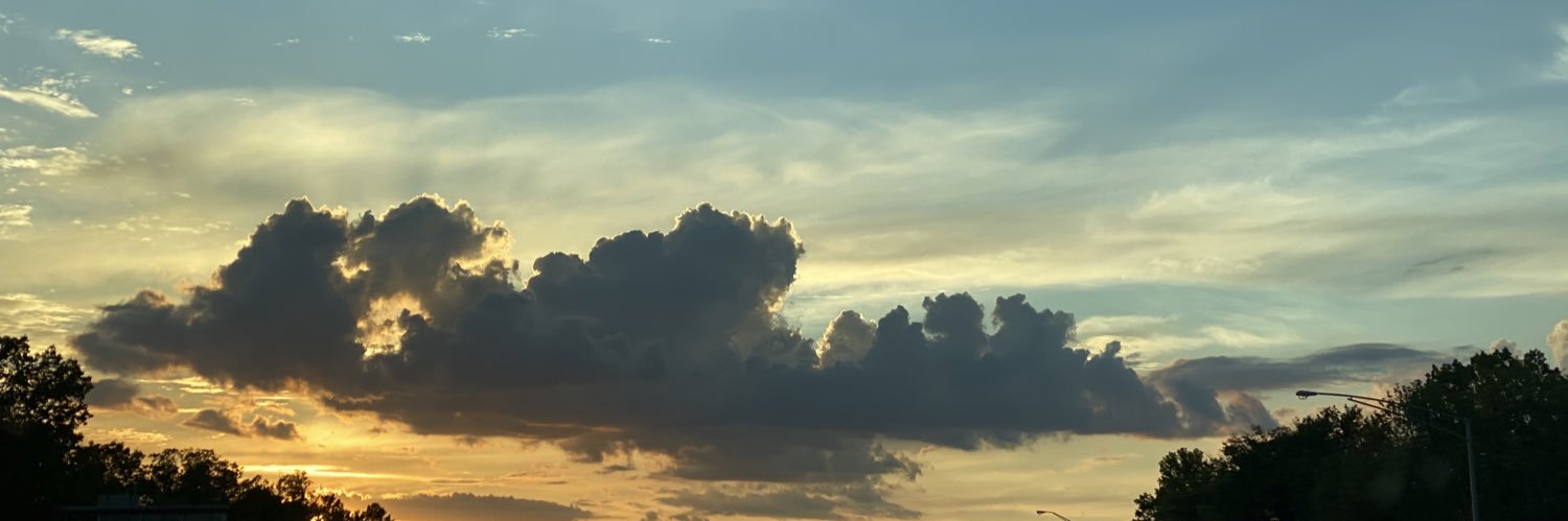 rkinley's profile banner image