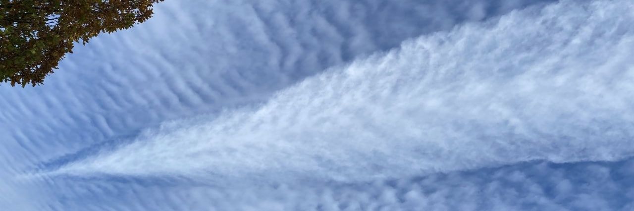ibirulez's profile banner image