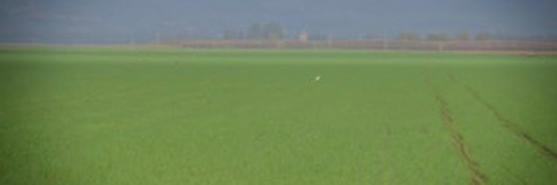 LoneTreeBeer's profile banner image
