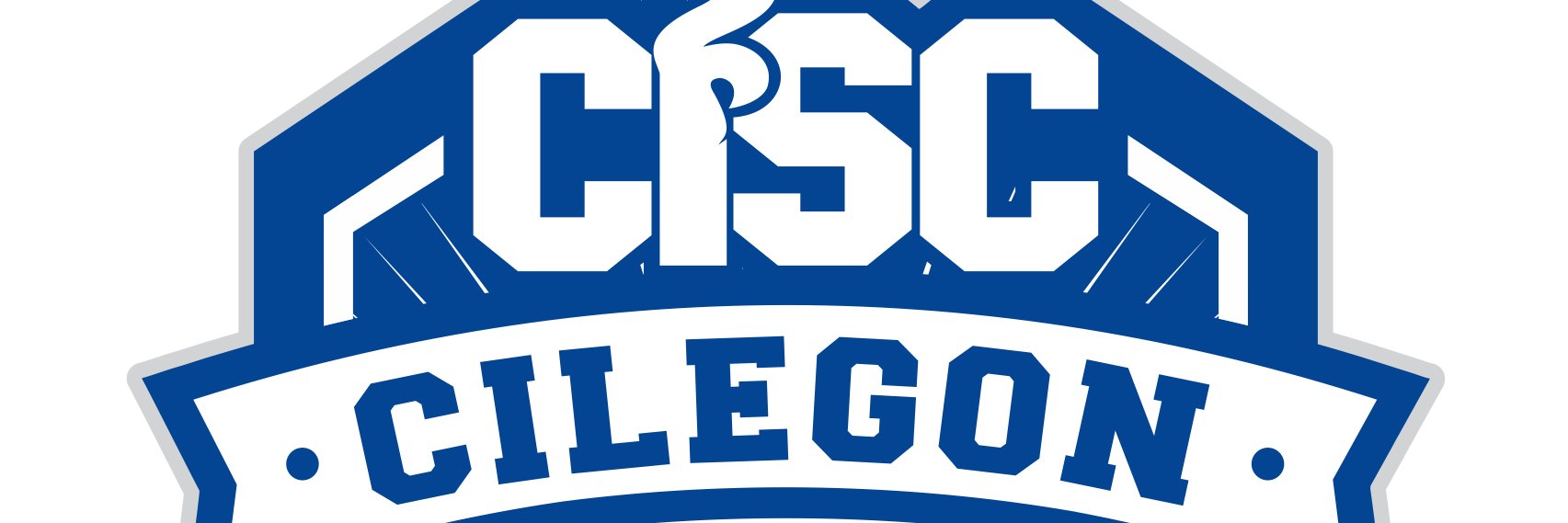 CHAMPIONS OF EUROPE banner