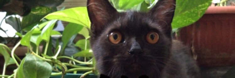 yourzfaw's profile banner image