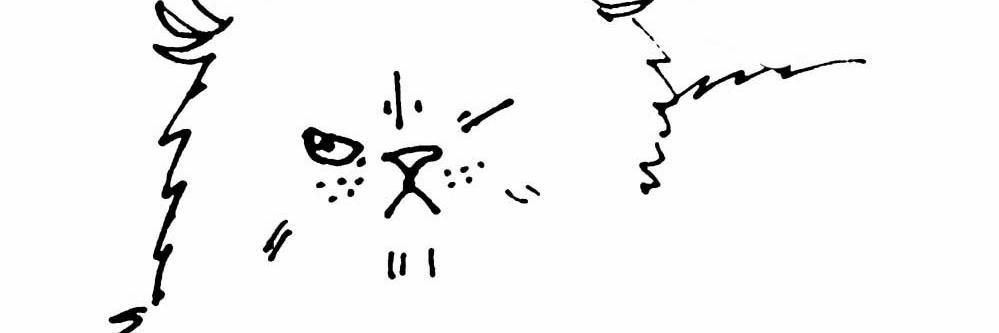 o_o_t___l's profile banner image