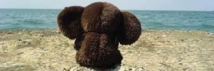 ping_panther's profile banner image