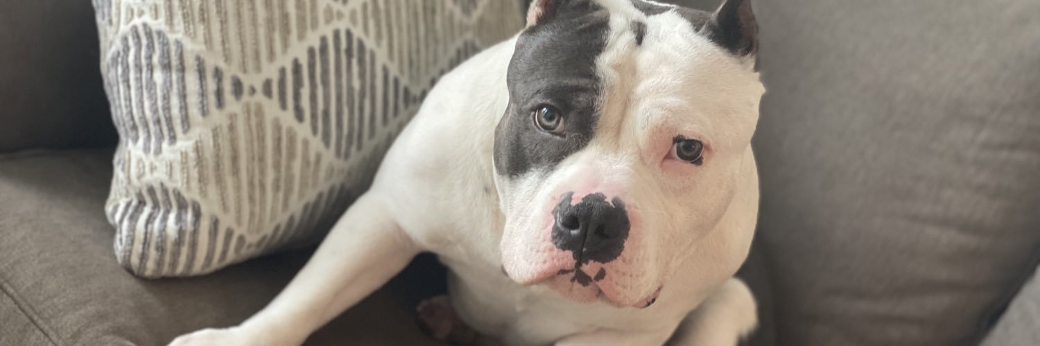 aburks1999's profile banner image