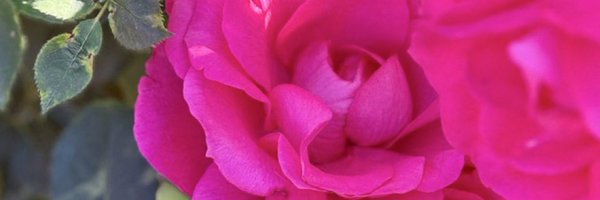 JenaC2 Profile Banner