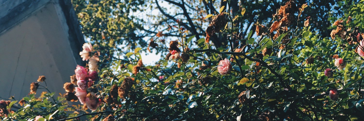 ZoeSo4's profile banner image