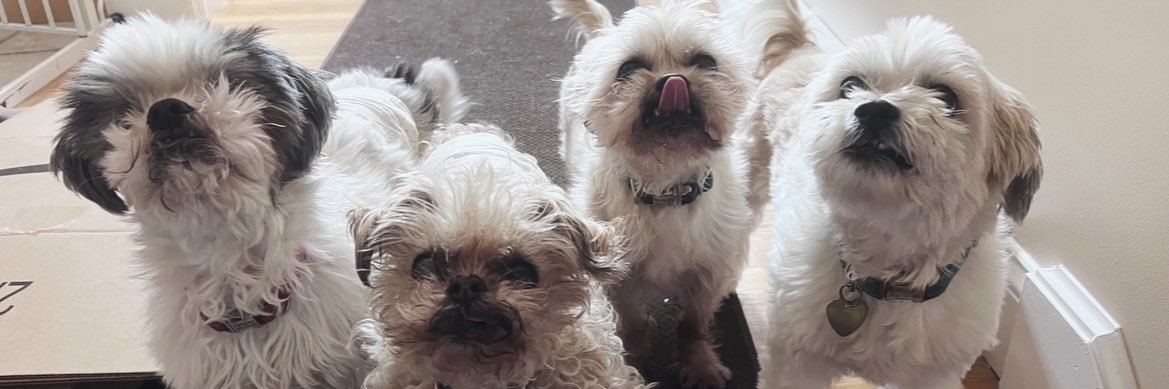 Hillary Brooke banner