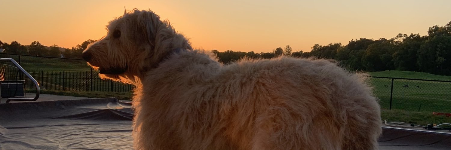 Nancy Sullivan banner