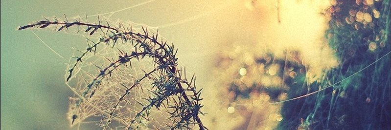 aaaaa banner