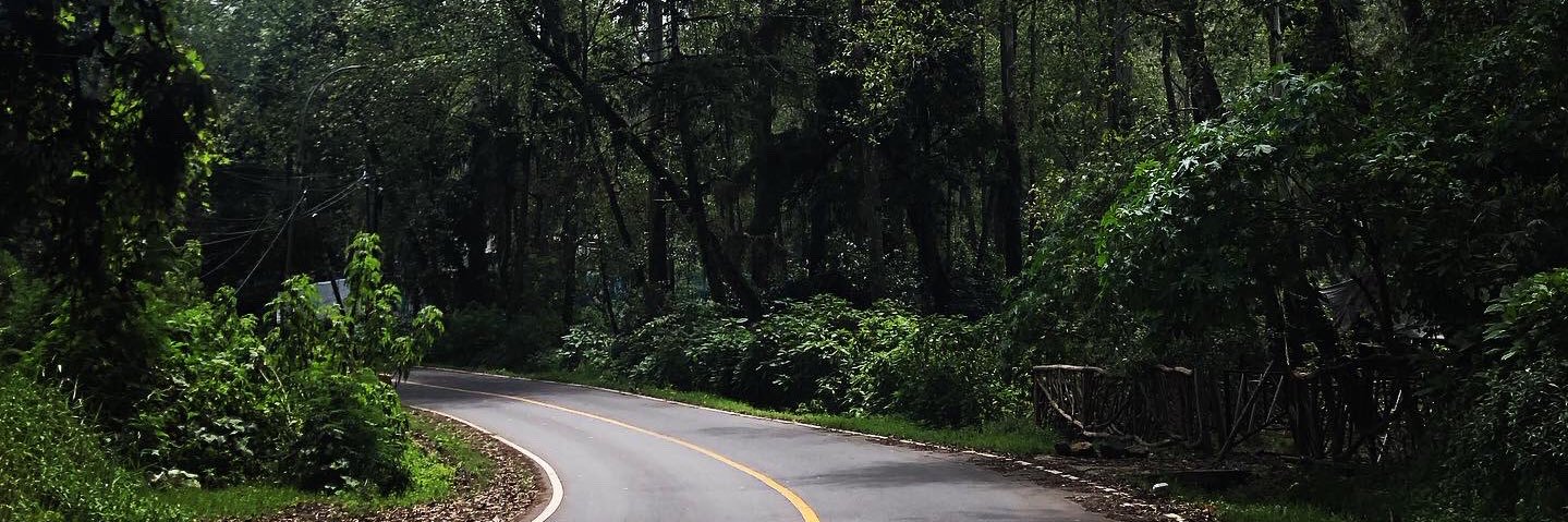Rayhanginting's profile banner image