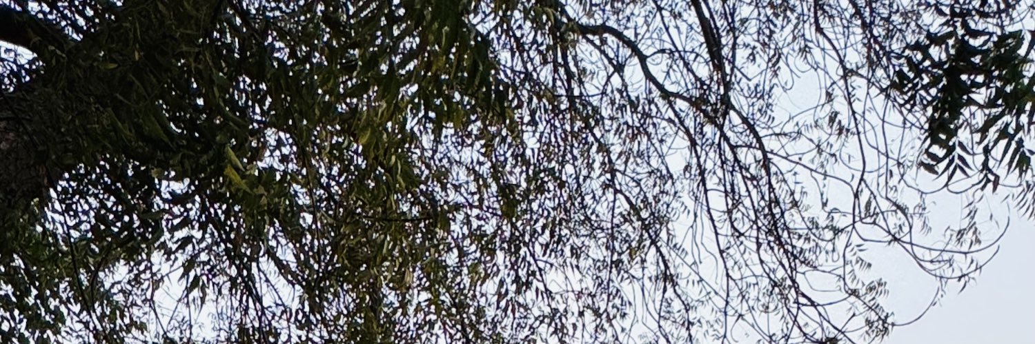 rakeshkr131's profile banner image