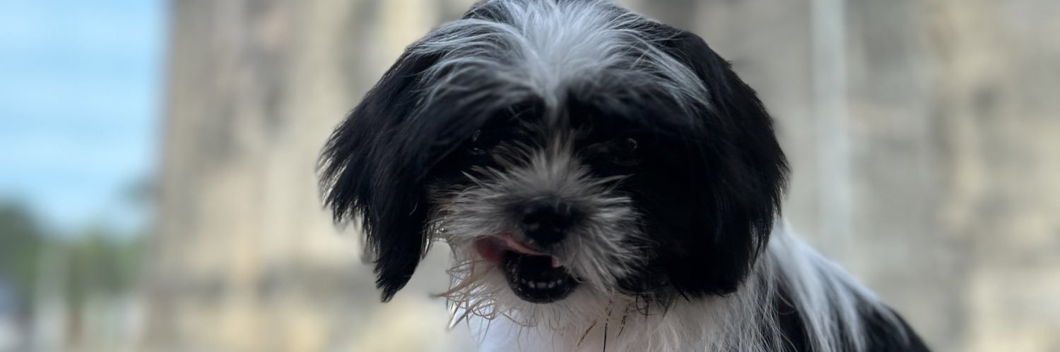 rellhenjoi's profile banner image