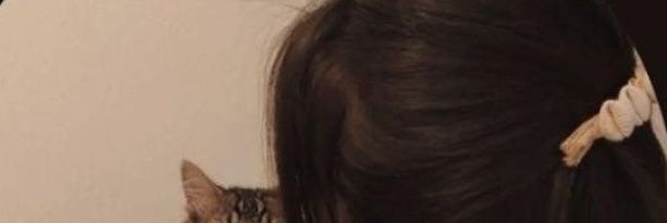 jounvile's profile banner image