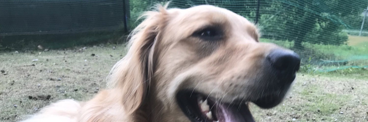 Sammy10260329's profile banner image