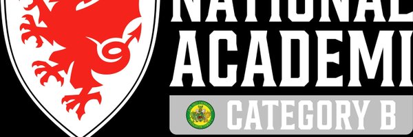 CfonTownAcademy Profile Banner
