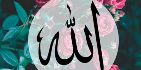 tiaradsp's profile banner image