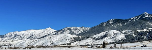 mrow116 Profile Banner