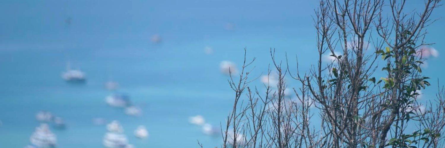 buachompoo55's profile banner image