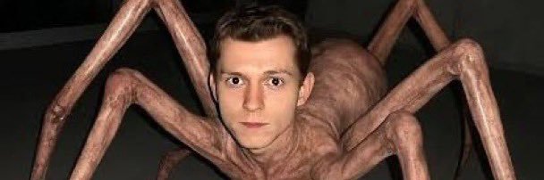 spidergrayy's profile banner image
