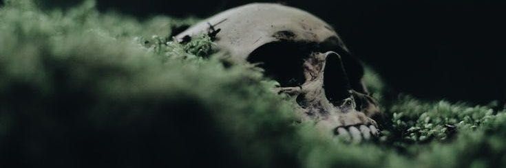 kor_aria's profile banner image