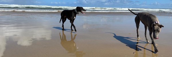 lekdog Profile Banner