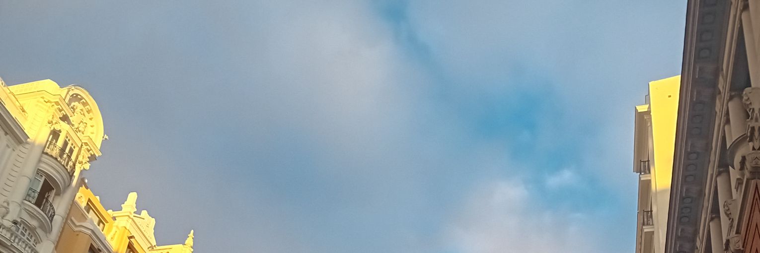 sara_vm4's profile banner image