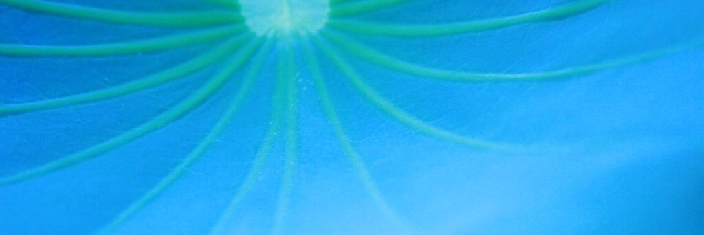 ren banner