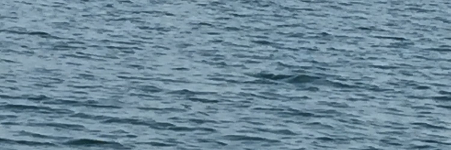 a7065a1's profile banner image
