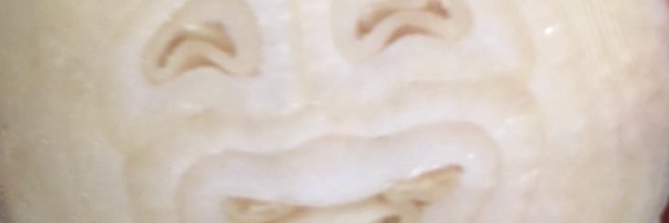 SteveStinger's profile banner image